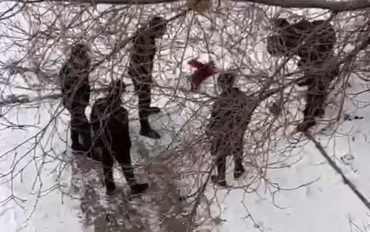 Школьники подрались в Атырау