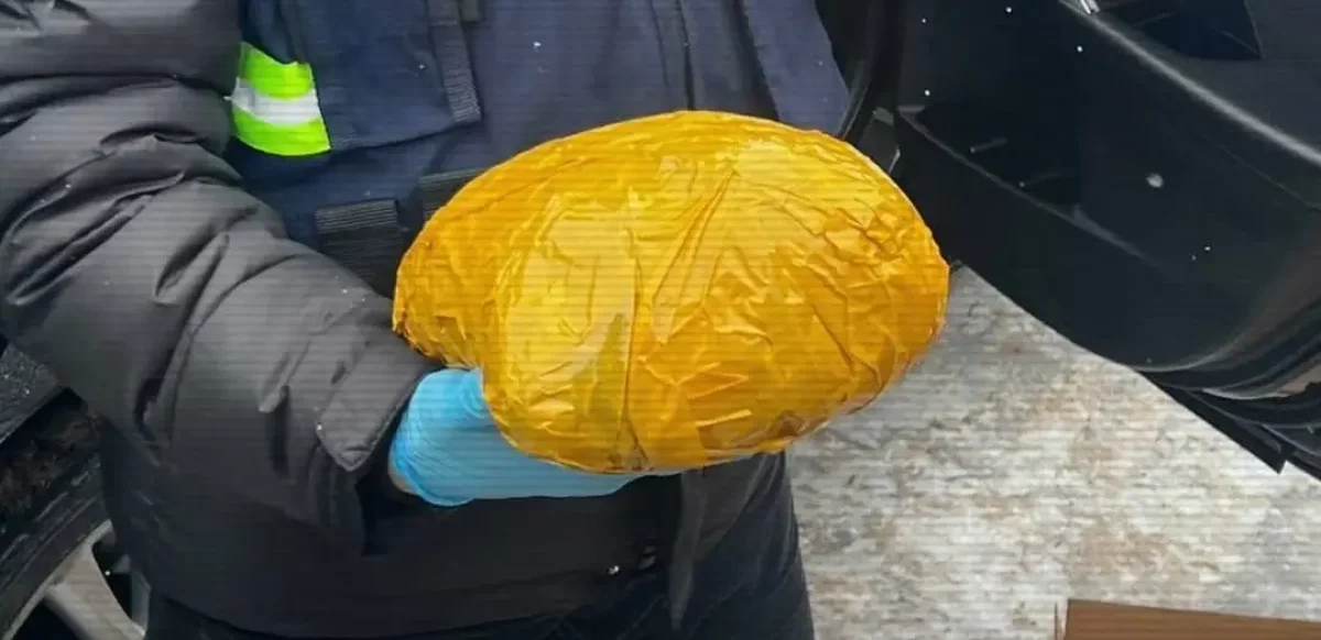 Жамбыл облысында өткен жылы 6 тоннаға жуық есірткі тәркіленді