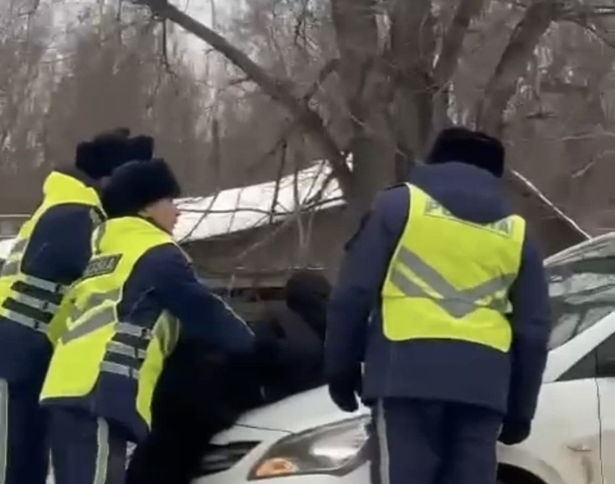 Задержание стрелка из Усть-Каменогорска попало на видео