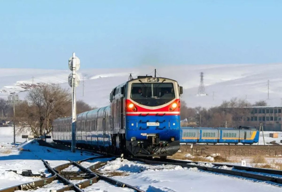 Поезд сбил несколько лошадей в Павлодарской области