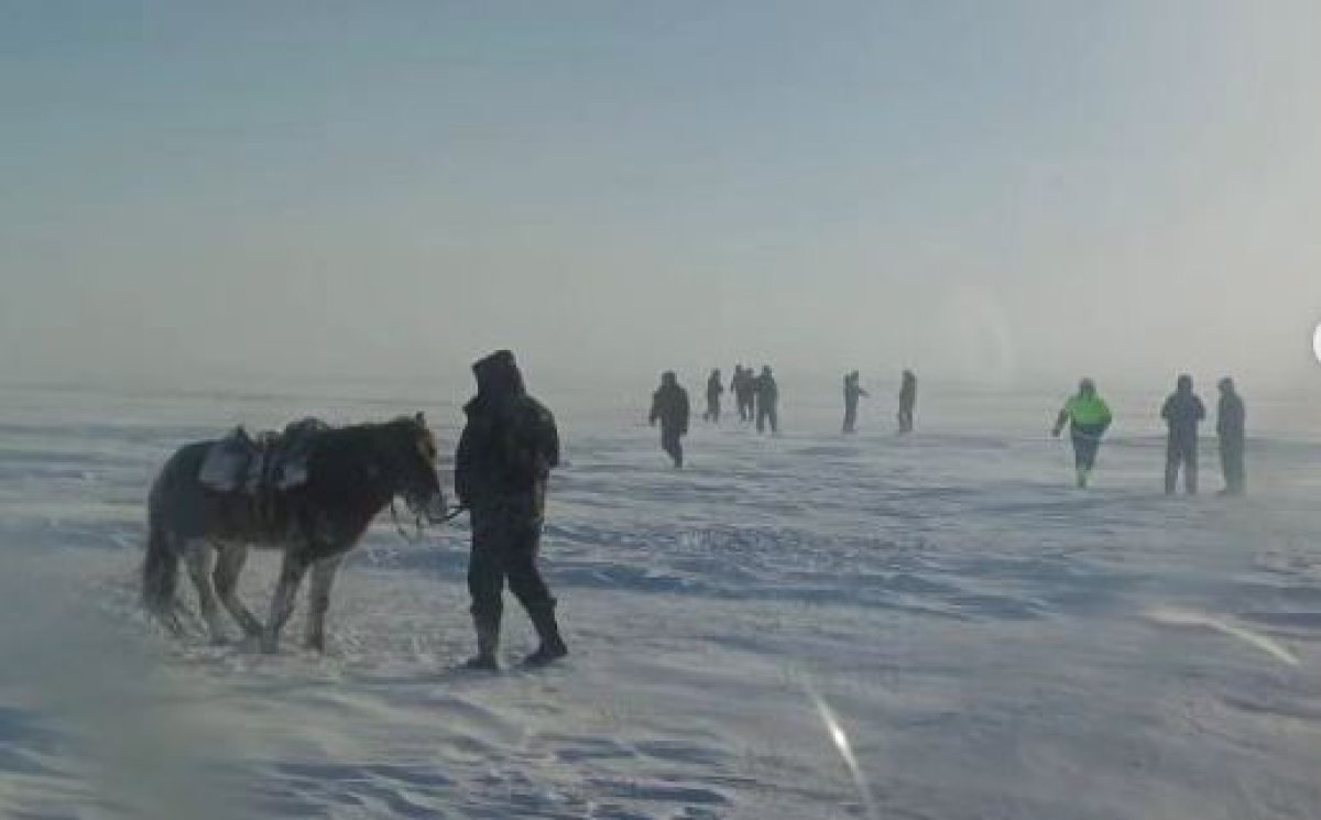 Трое суток ищут пропавшего пастуха в Костанайской области