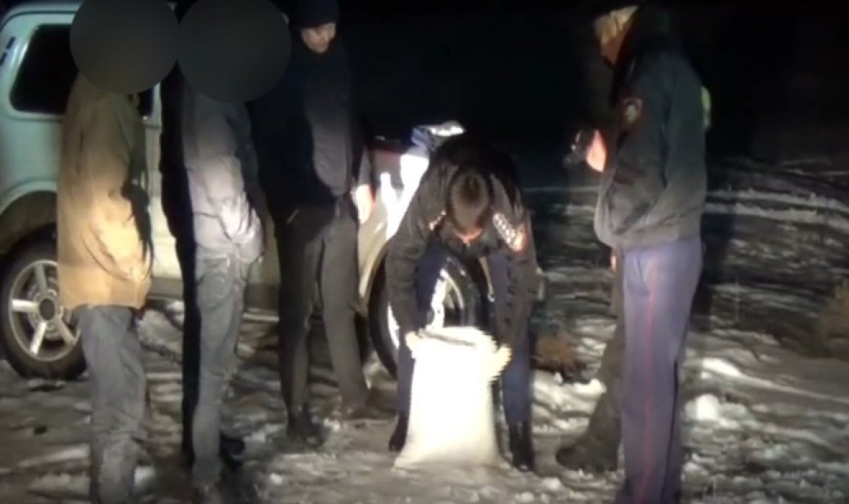 Выкапывал руками коноплю из-под снега: подозреваемый задержан в Жамбылской области