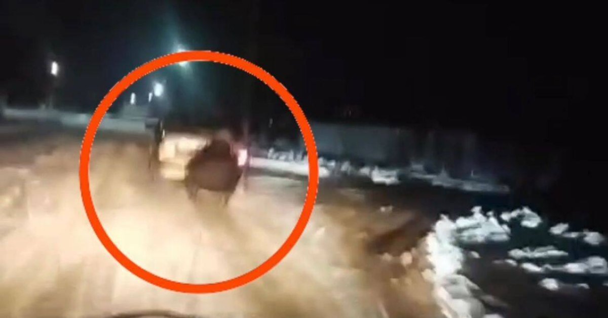 Прикрепил к машине сани и катал на них детей: водителя наказали за опасную забаву в Жамбылской области