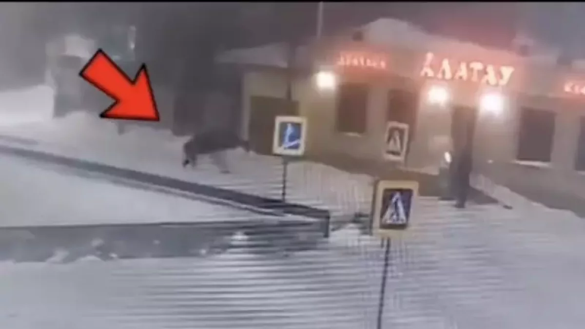 Елордада үйіне келе жатқан ер адам күтпеген оқиғаға тап болды