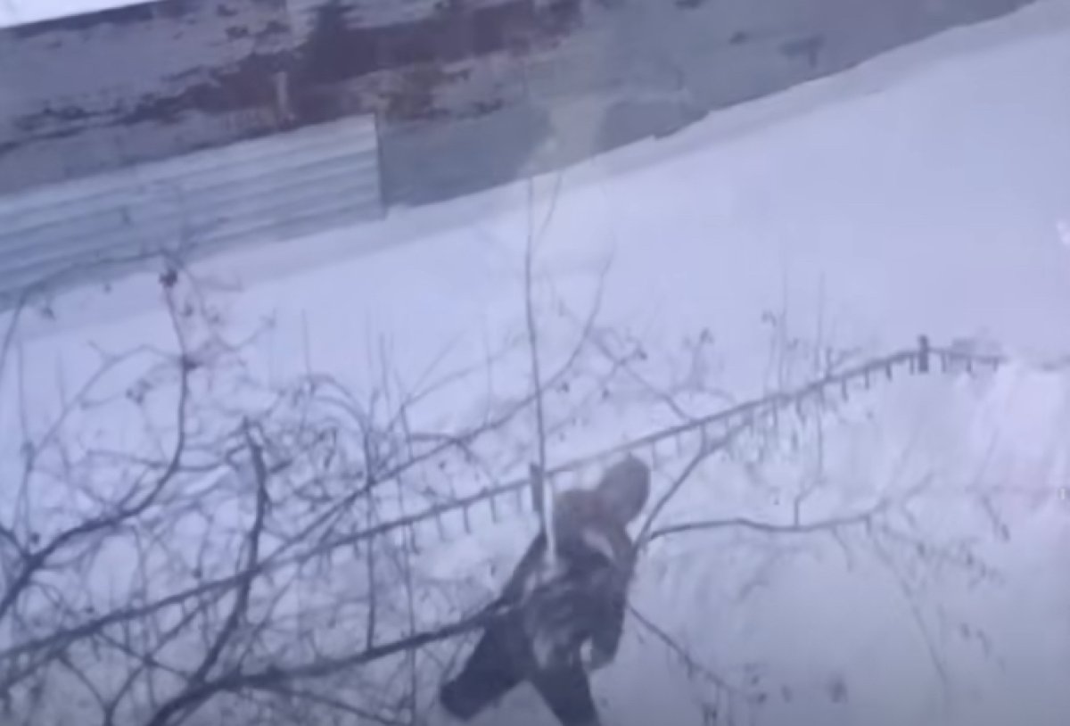 Миджет порно актрисалар