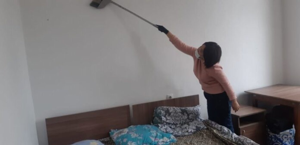 Кризисный центр Шымкента закрыли из-за нашествия мышей