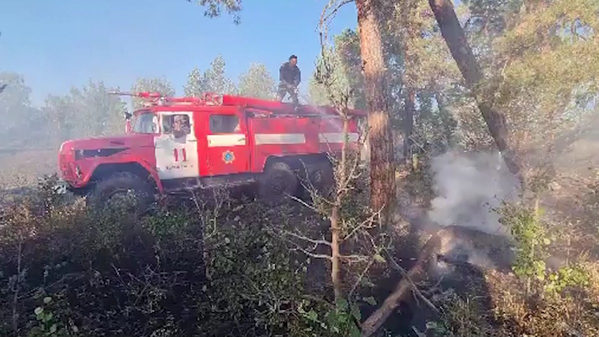 "Ауылда өрттен қорғанатын арнайы техника жоқ", - Үнзила Шапақ