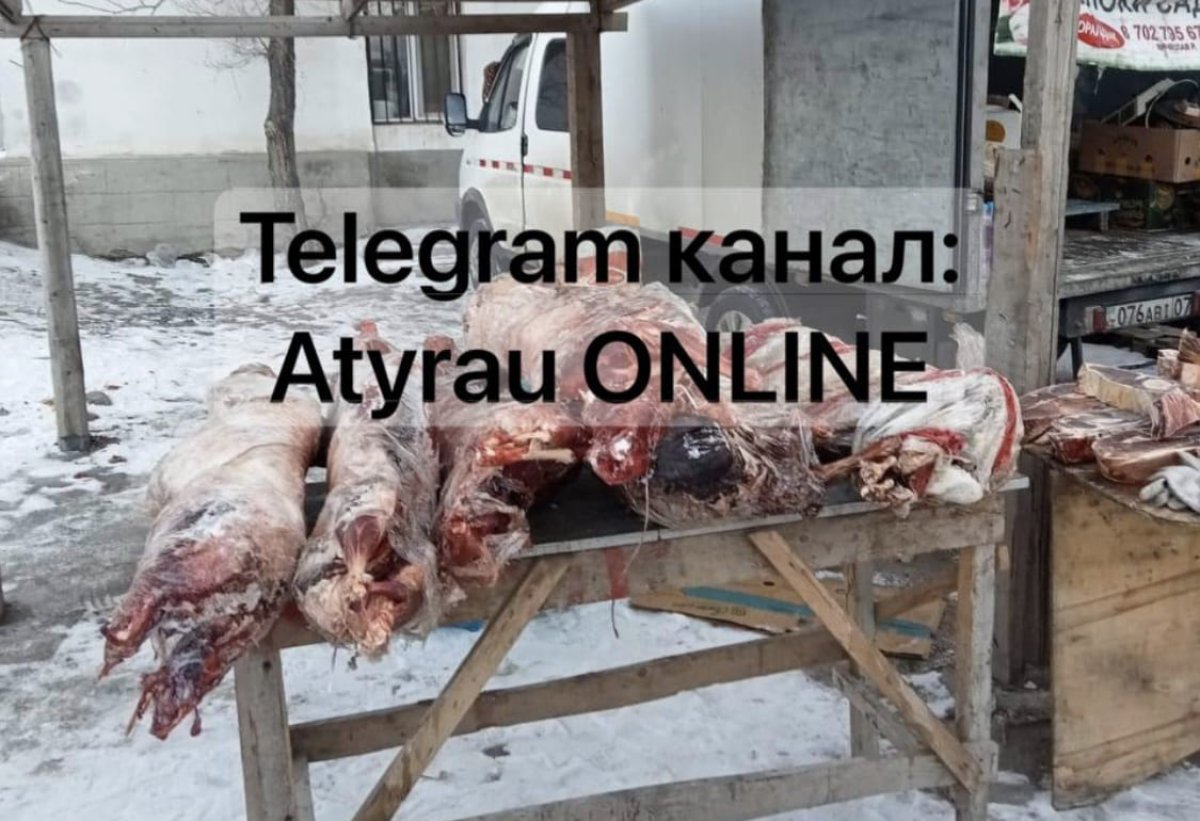 Сайгачье мясо начали продавать на рынке Атырау