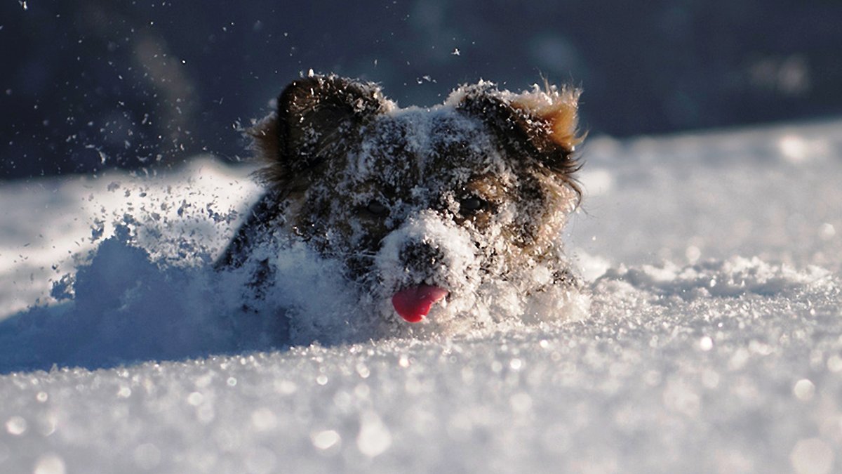 Осадки не отступают на большей части Казахстана