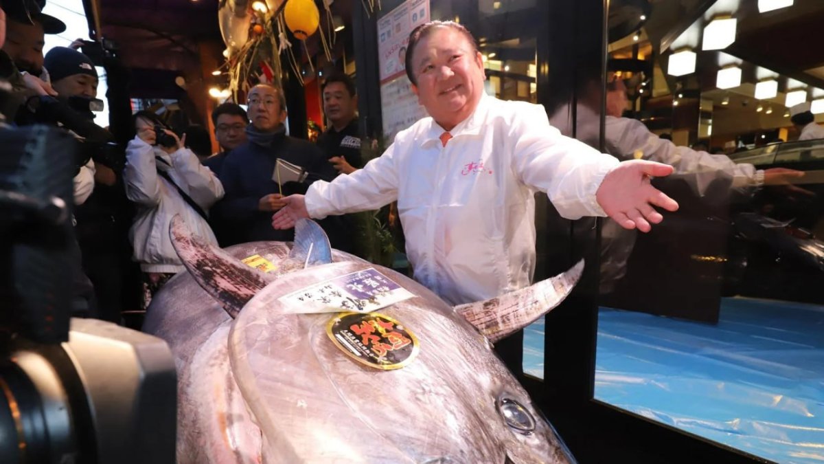 Японские рыбаки выловили тунца весом 238 кило и продали его суши-бару за баснословные $788 тысяч