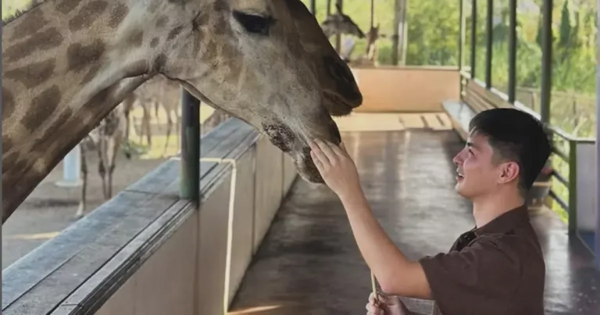 Менің анам сол еді: Бельгиядан келген қазақ бала тағы қиындыққа тап болды