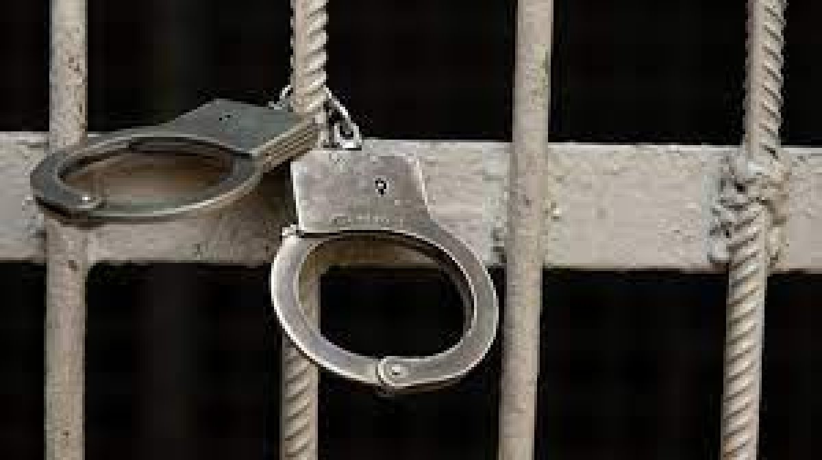 Павлодар облысында директор мен балабақша бухгалтері сотталды