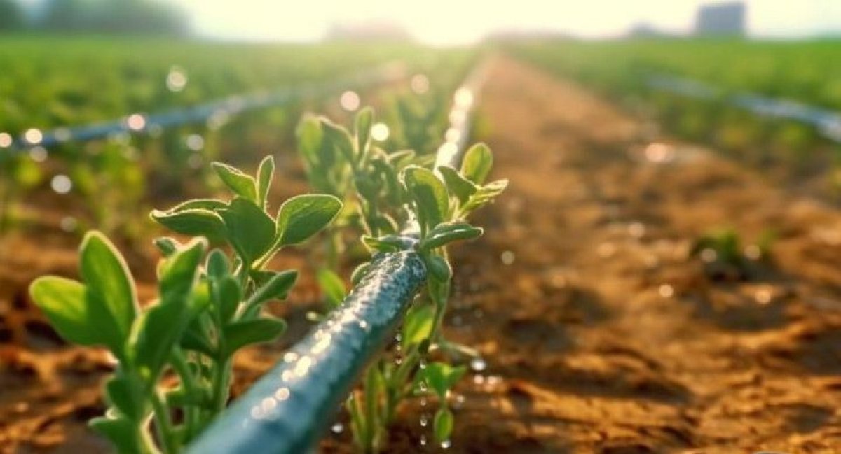 "Қазақстанның оңтүстігінде суармалы судың шығыны азайды", - министр