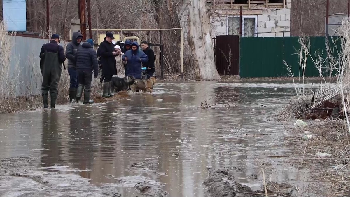 Паводки уже угрожают югу Казахстана