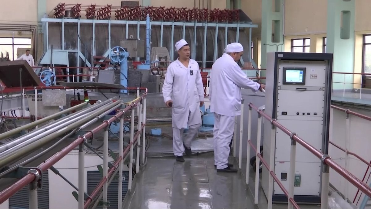 "Референдум ғылым тұрғысынан да тарихи дата болмақ", - Ж. Сүлейменова