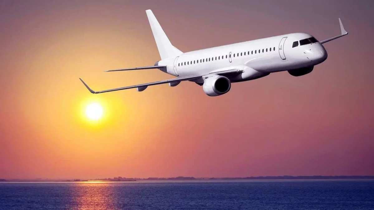 Дубай-Алматы рейсінде немересі әжесіне тосынсый жасады