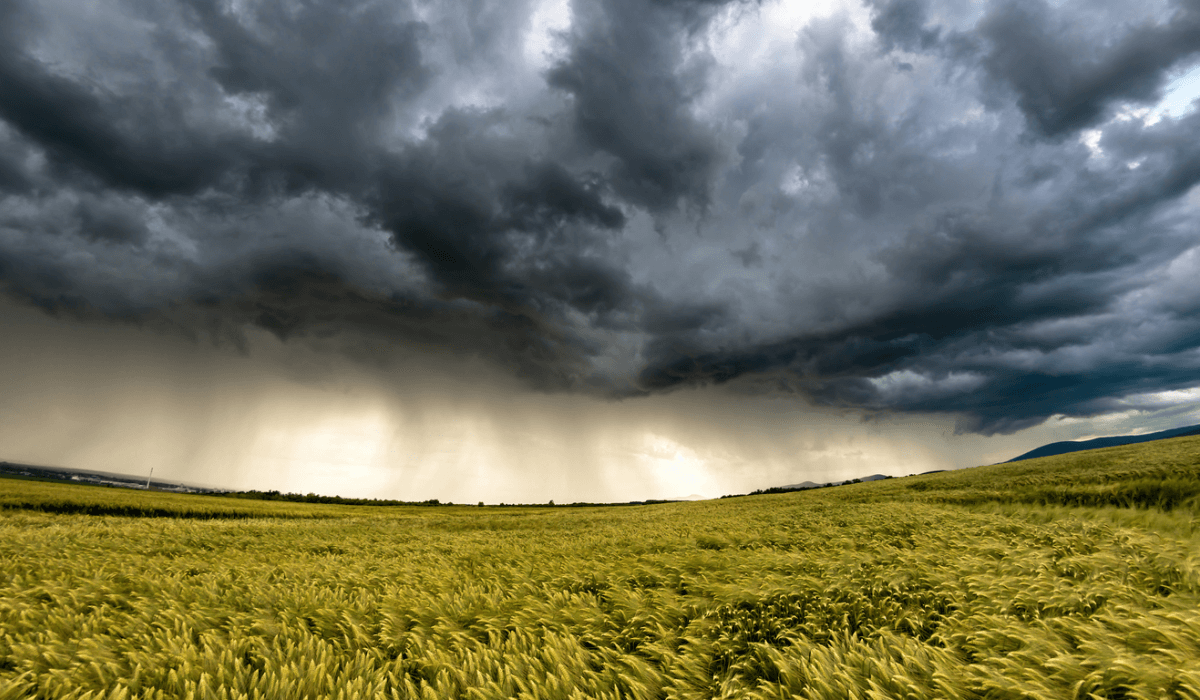 Ертең еліміздің 14 өңірінде дауылды ескерту жарияланды