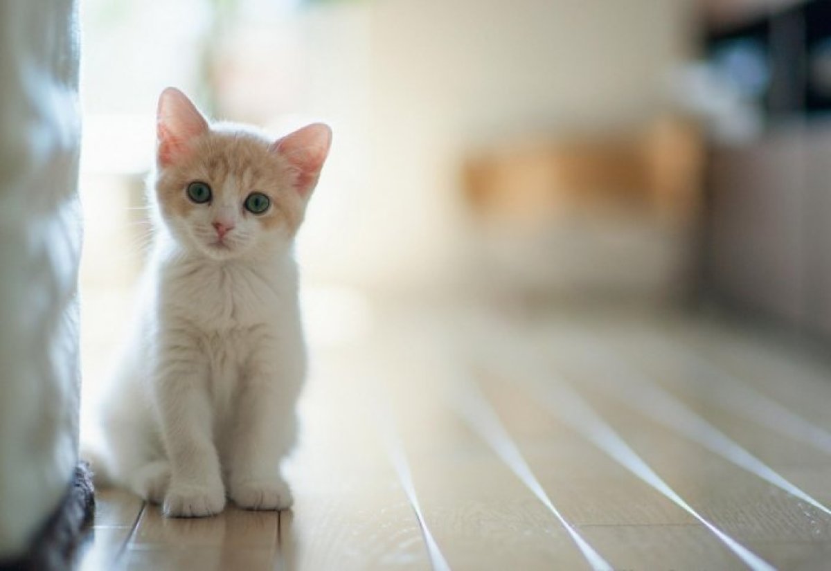 Колготки порно сайты