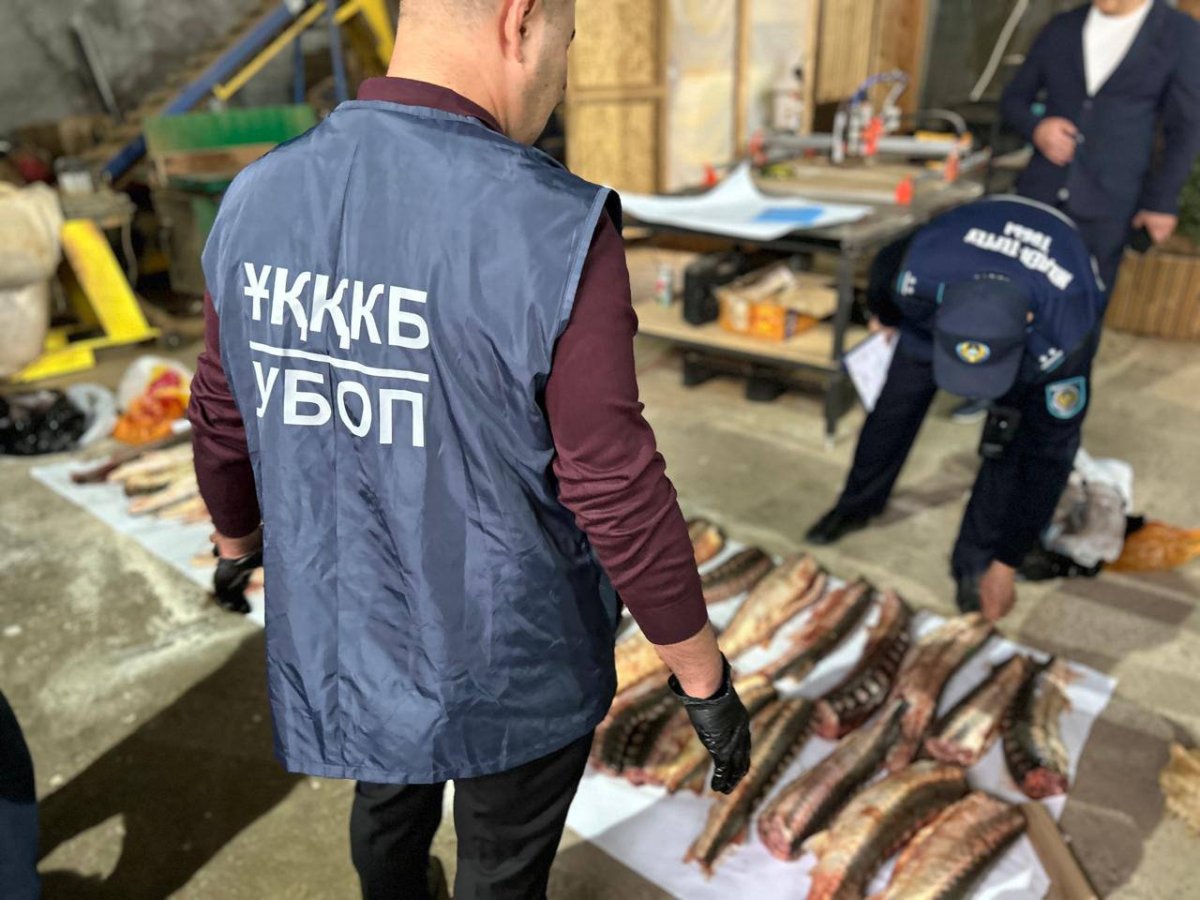 Атыраусцу светит реальный срок за 70 осетров