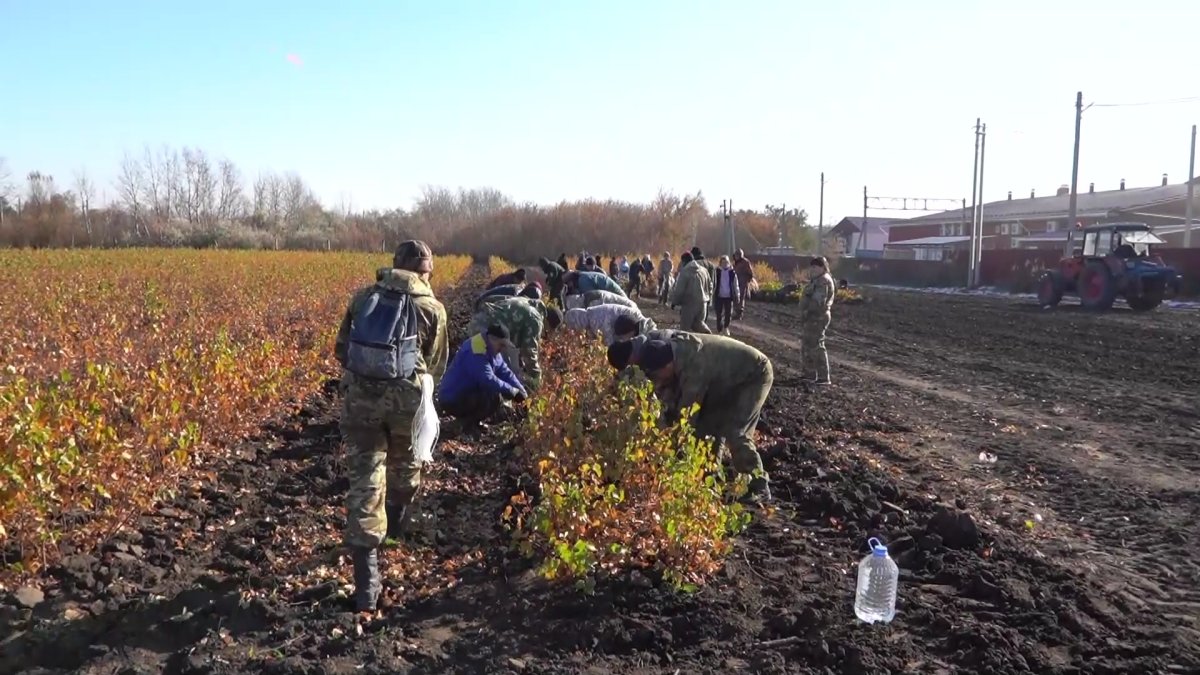 Орманшының жұмысы оңай емес