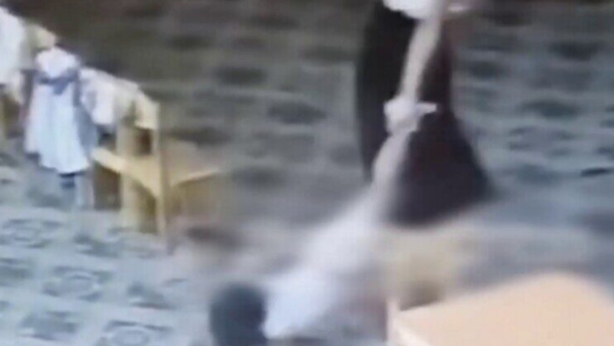 Орыс әйелдерінің күйеулерін алдап жатқанын көрсететін порно видеоны онлайн көріңіз. Мәскеудегі транссексуалдармен жыныстық қатынас