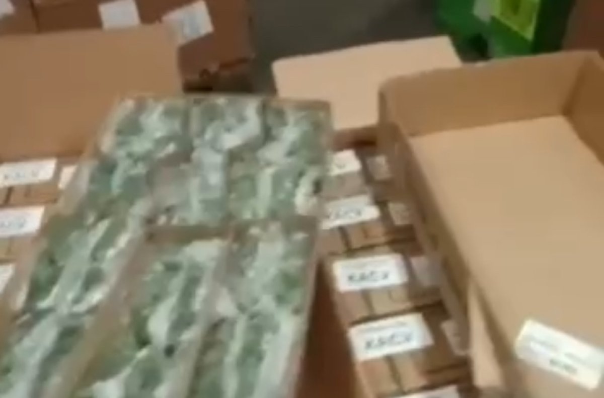 Почти 160 тысяч зараженных хризантем завезли из Нидерландов в Казахстан