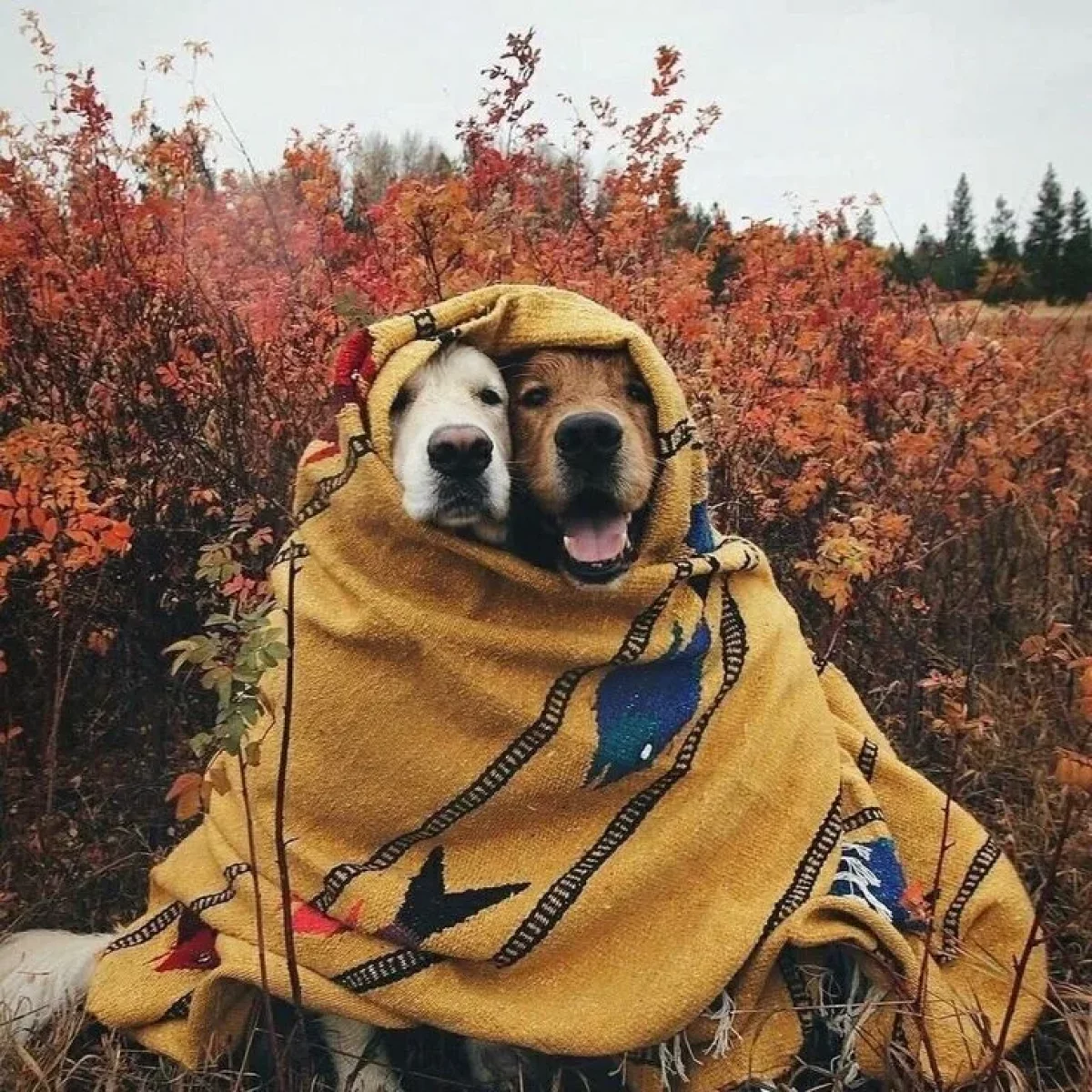 До 8 градусов мороза обещают предстоящей ночью в Казахстане