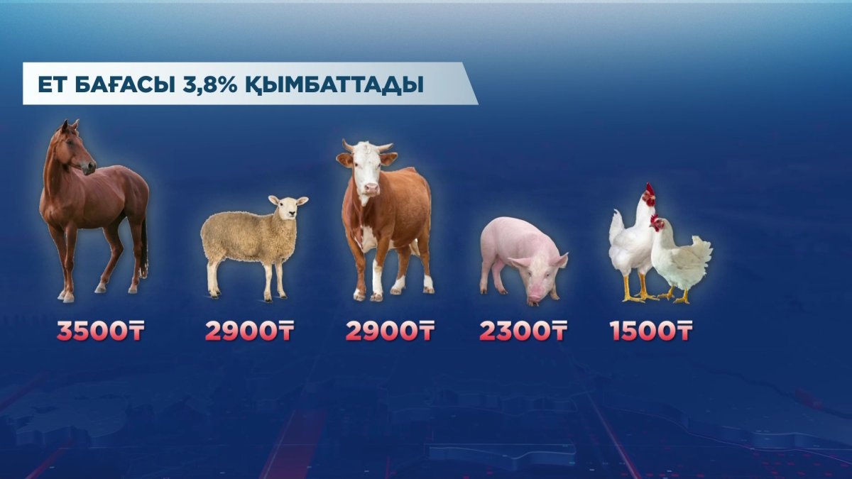 Елдегі әр адам бір айда 10 келі ет жейді
