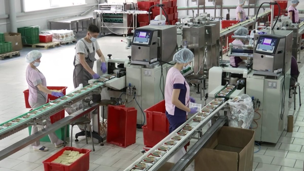 «Для нас это дорого»: в альтернативных источниках электроэнергии нуждаются предприятия в СКО