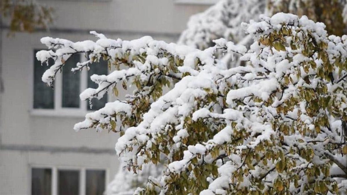 Қар жауып, көктайғақ болады