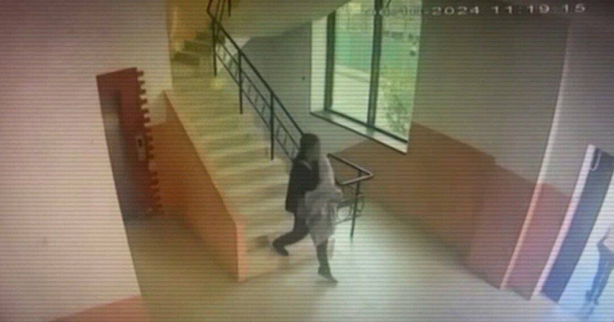 Алаяқтар клинингтік қызмет көрсетушілердің кейпіне еніп, бірнеше пәтерді тонап кеткен