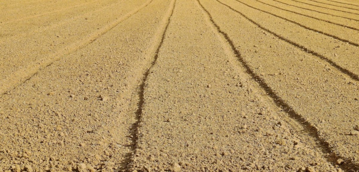 1,6 млн м² в Казахстане открыты для недропользования