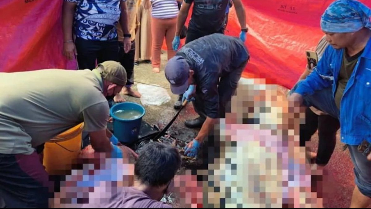 Крокодил съел шестилетнюю девочку