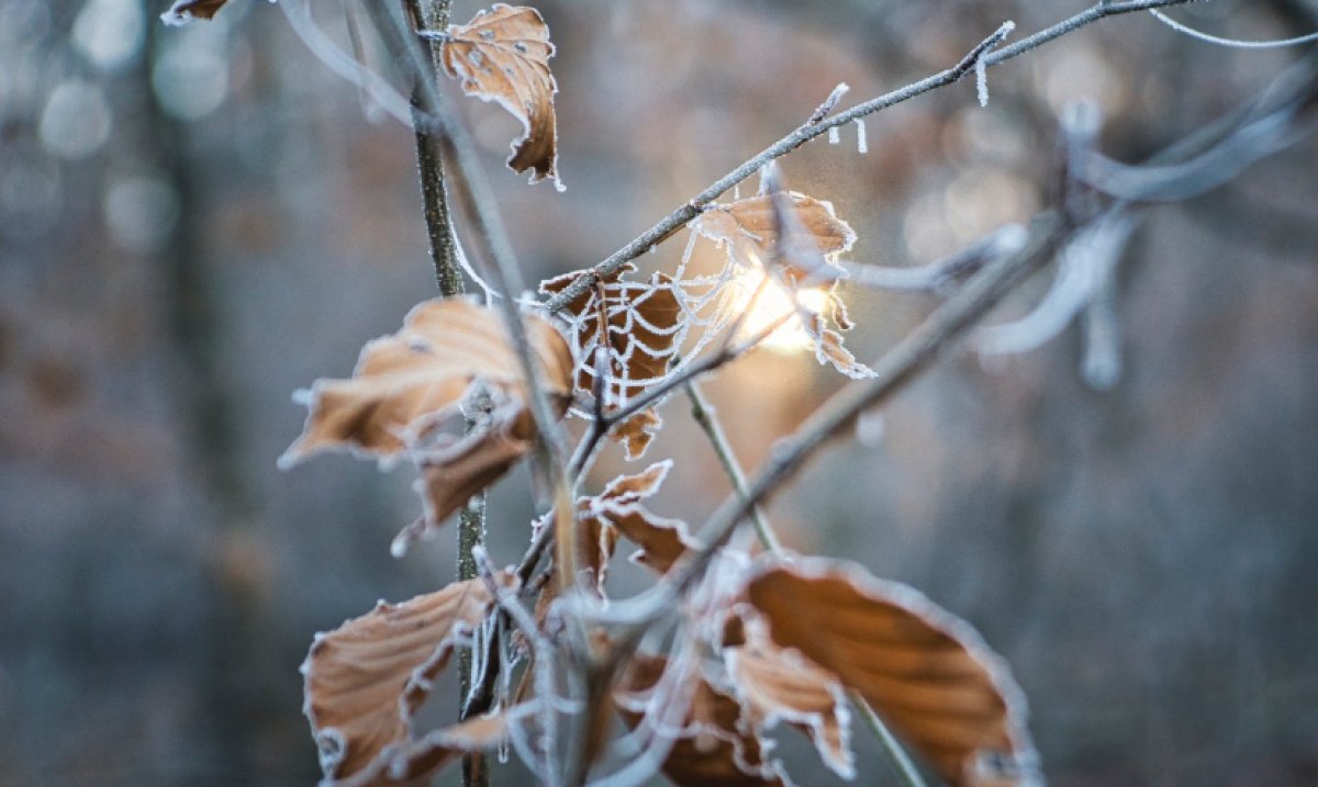 До 3 градусов мороза прогнозируют синоптики в Астане в пятницу, 4 октября