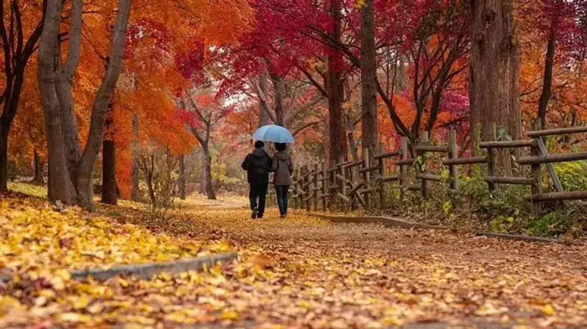 Жаңбыр, қар, шаңды дауыл: елдің басым бөлігінде ауа райына байланысты ескерту жасалды