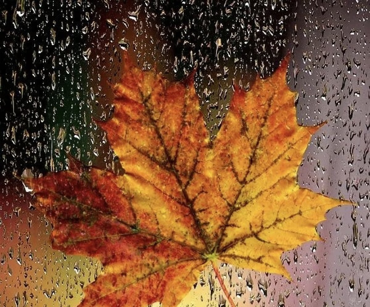 Дожди прогнозируют в Астане и Алматы в понедельник, 7 октября