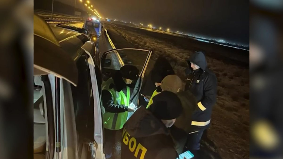 Мужчина хранил и перевозил свыше 800 рогов сайги: костанайский суд вынес приговор