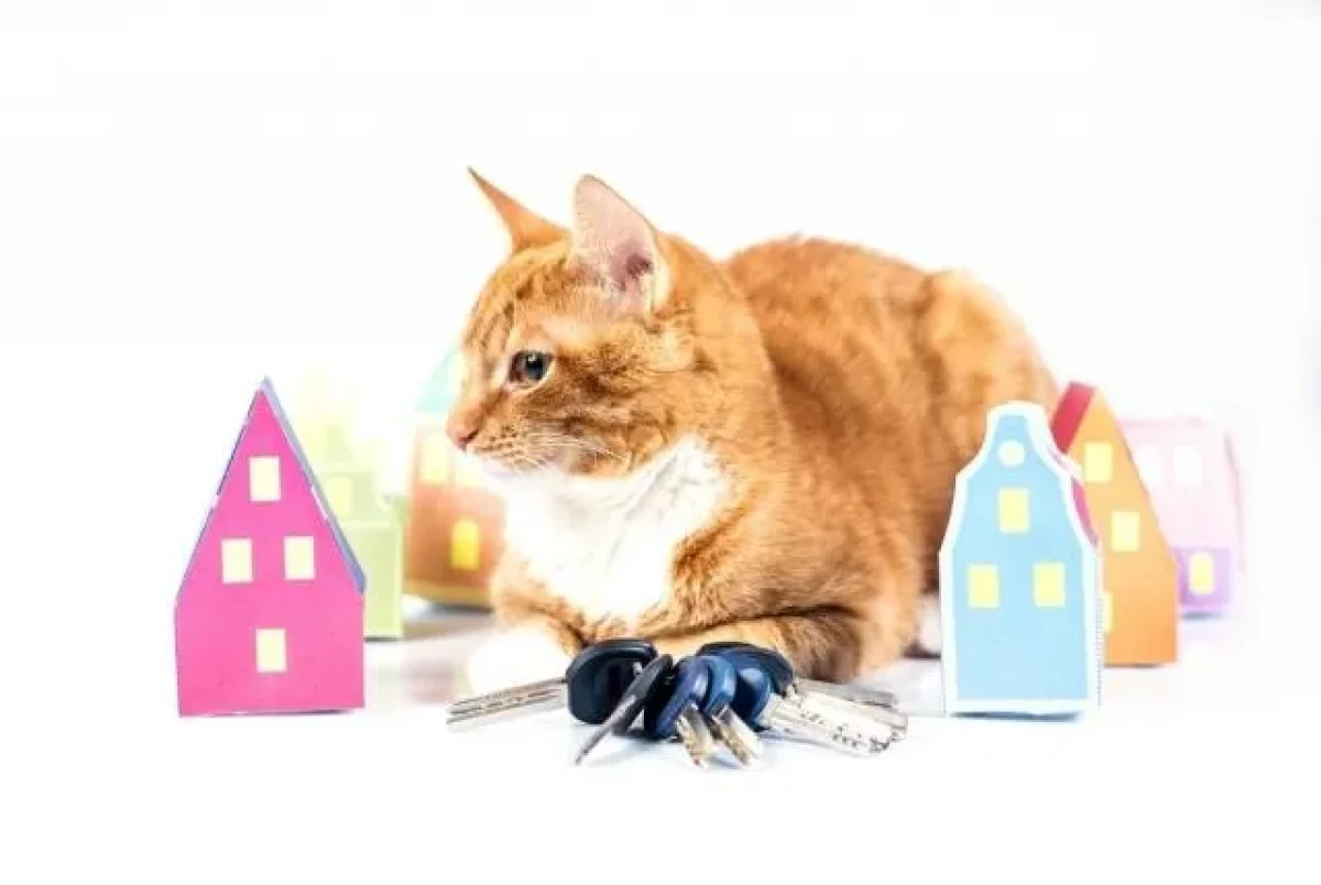 Насколько подорожало жилье в Казахстане?