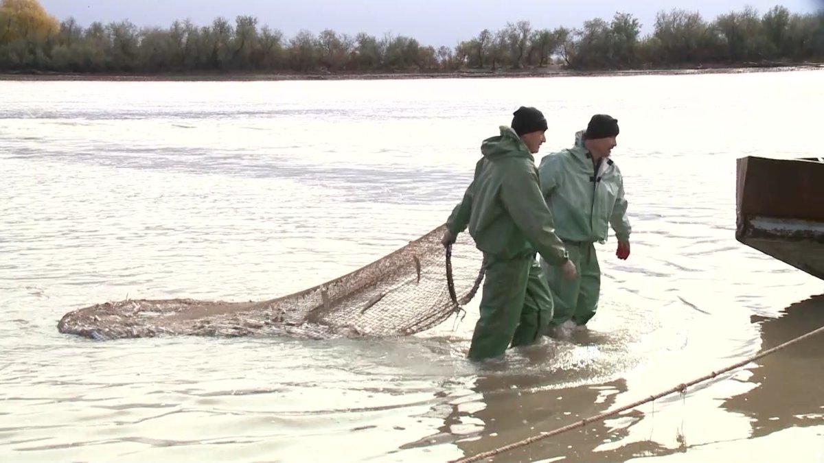 Атыраулық балықшылар  лимитті игере алмауы мүмкін