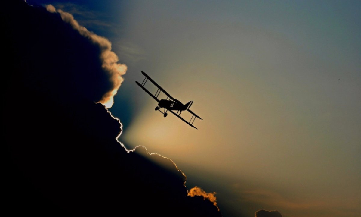 Гусь врезался в самолет и ранил пилота в Канаде