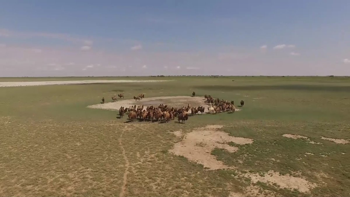 БҚО-да "Жер аманаты" жобасы 171% орындалды