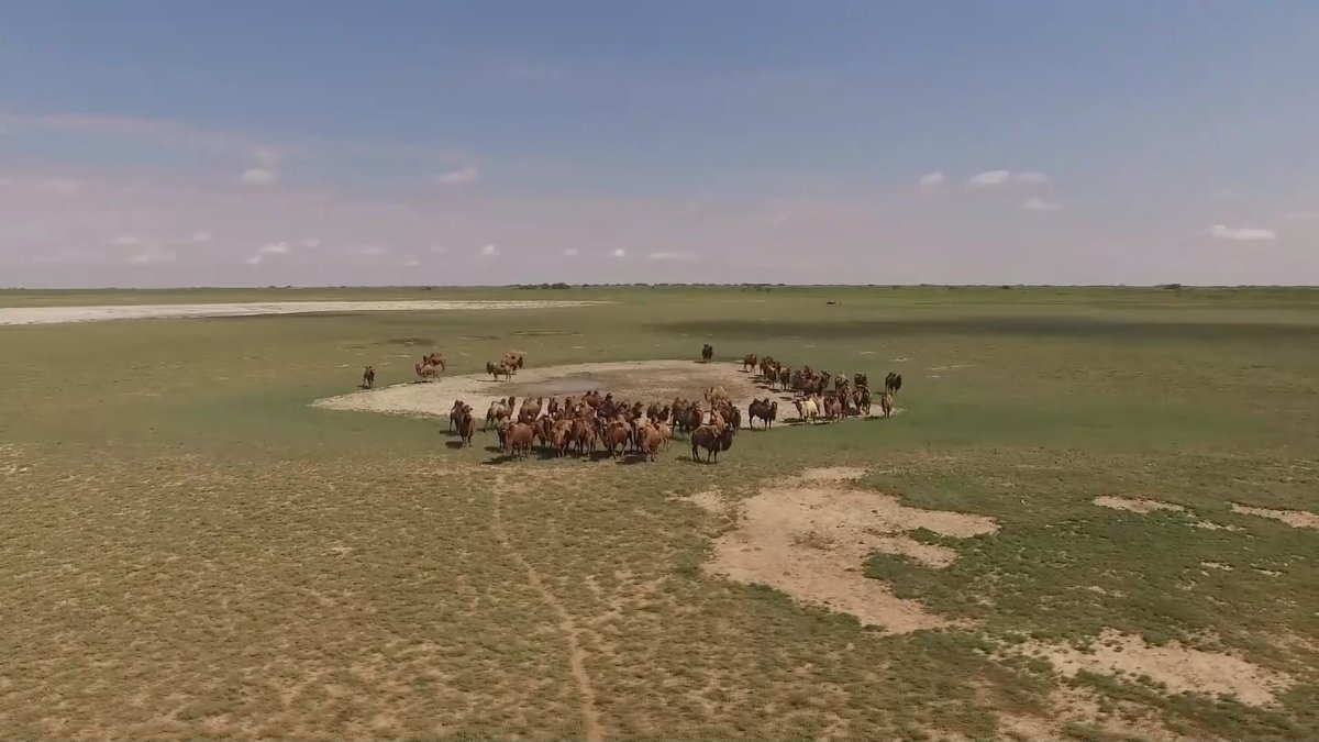 "Ауыл аманаты" халықтық жобаға айналды - AMANAT