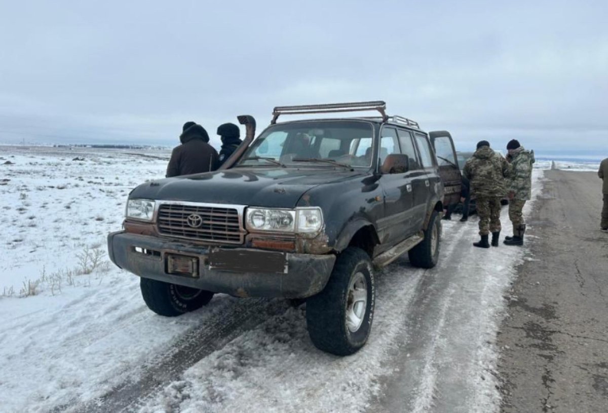 Туши и шкуры сайгаков с охотничьим ружьём обнаружили во внедорожнике жителя Улытау