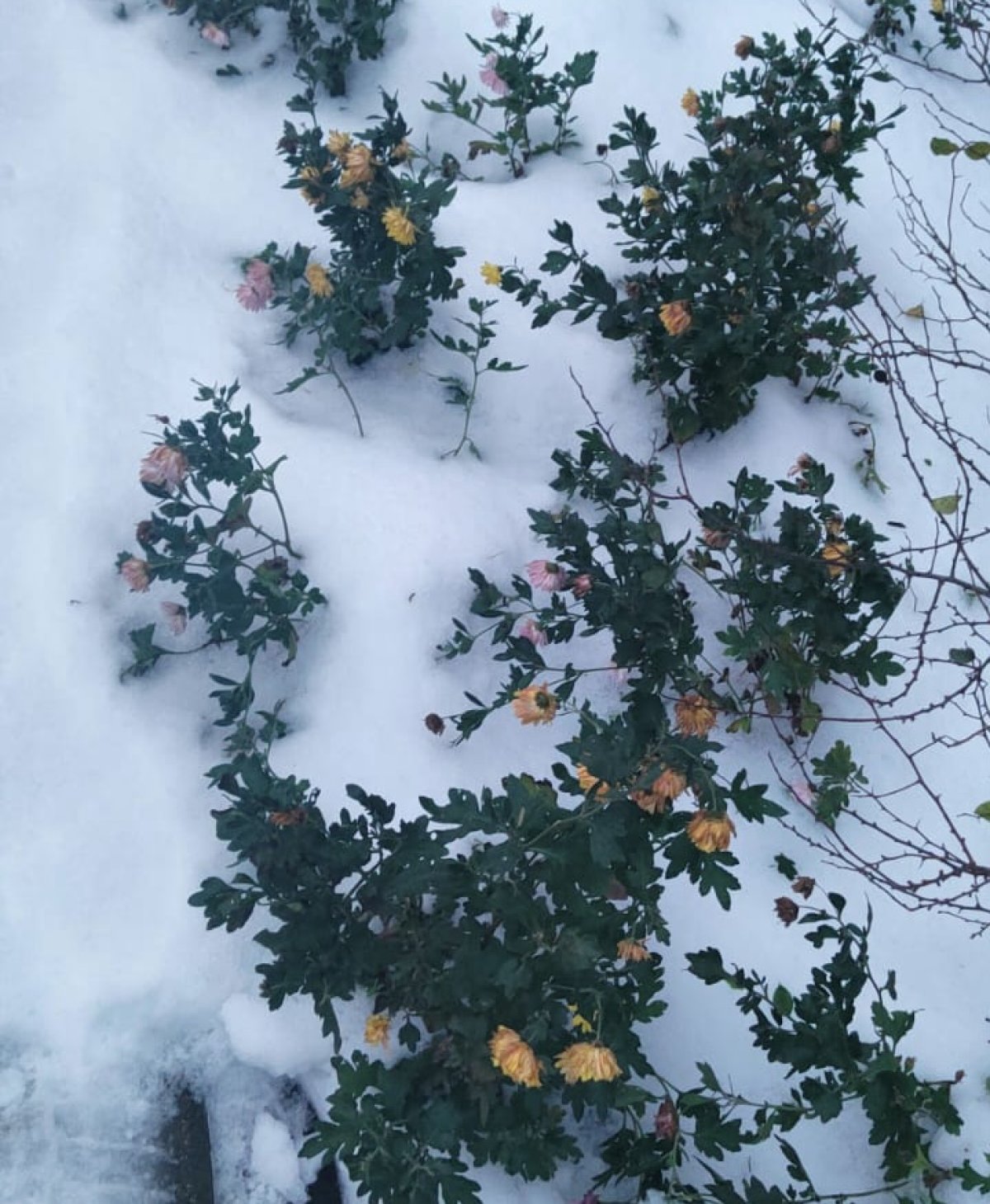 В Шымкенте плюс 14, в Астане минус 12: погода на понедельник