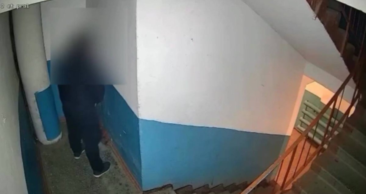 Справляющего нужду в подъезде семейчанина установила полиция