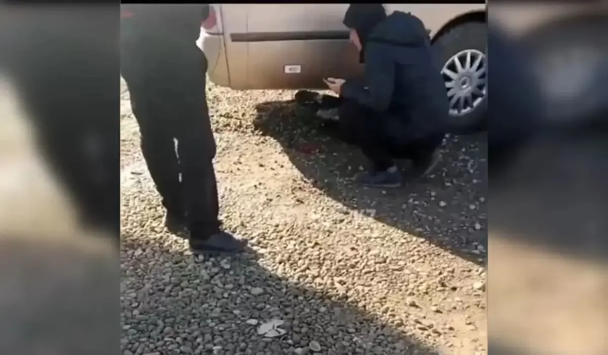 Алматының іргесінде оқыс оқиға: шағын автобус жеті жасар баланы басып кетті