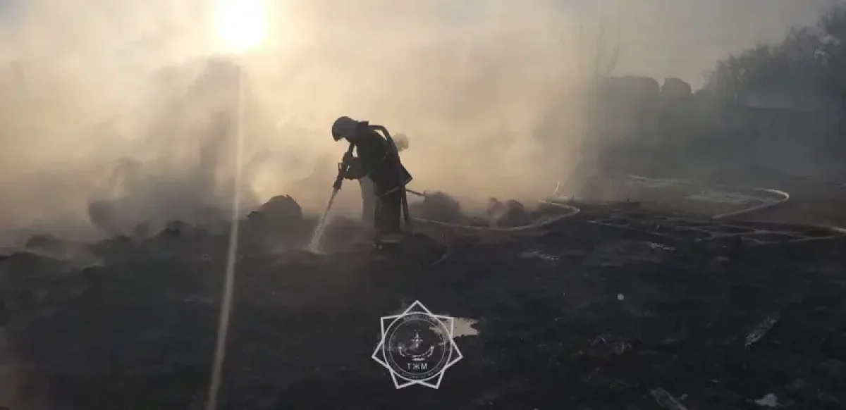 БҚО-да жиналған шөп өртеніп, 14 бас мал қырылды