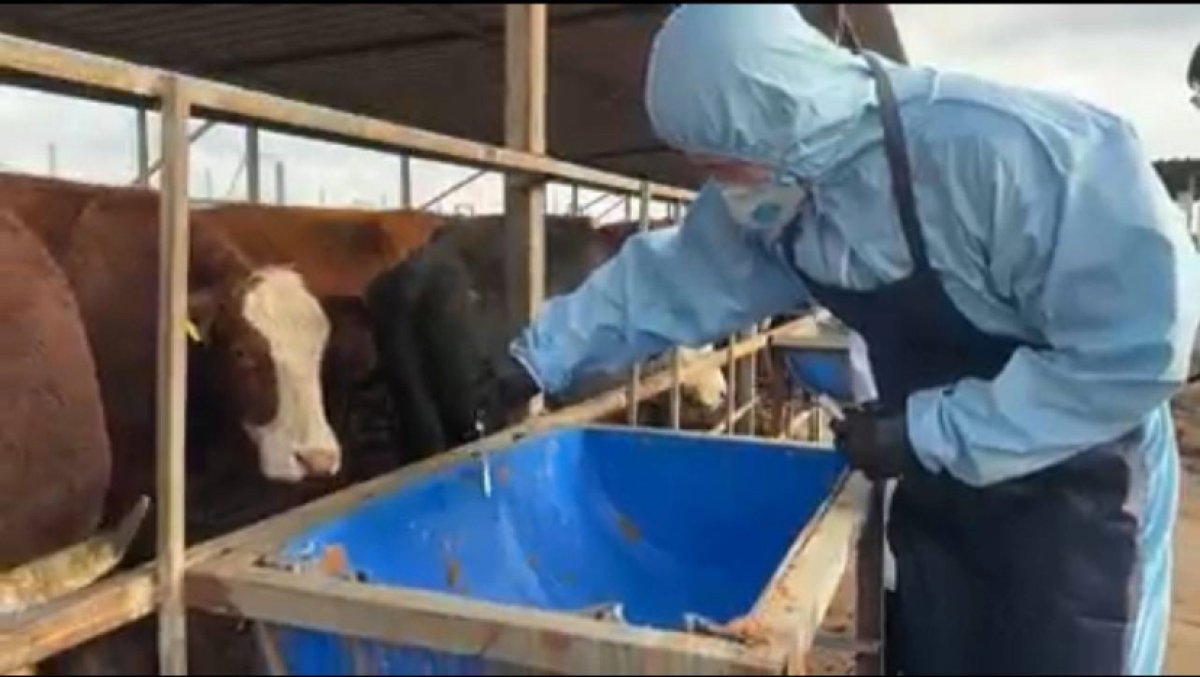 Сибирскую язву диагностировали еще у одного жителя Атырау