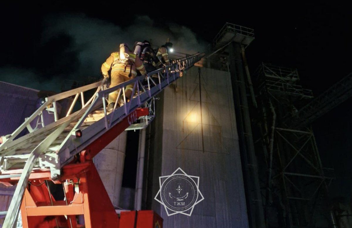 30 тонн семечек загорелись в Акмолинской области