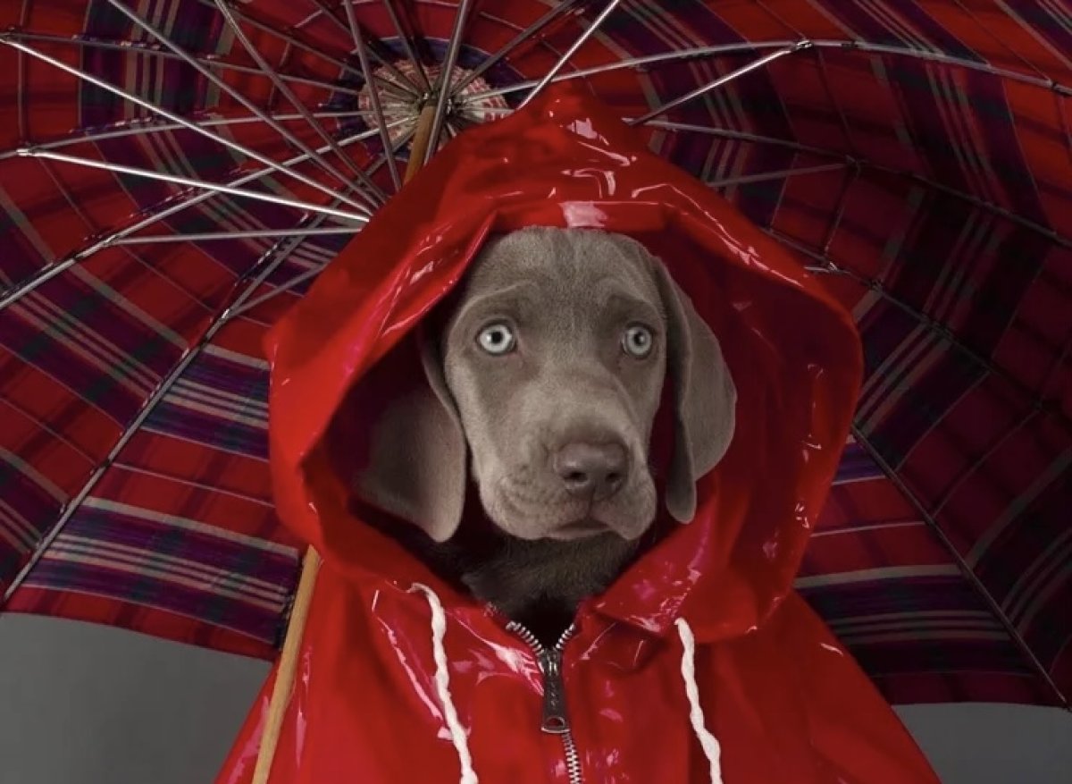 Штормовое предупреждение объявлено в 18 регионах в субботу, 30 ноября